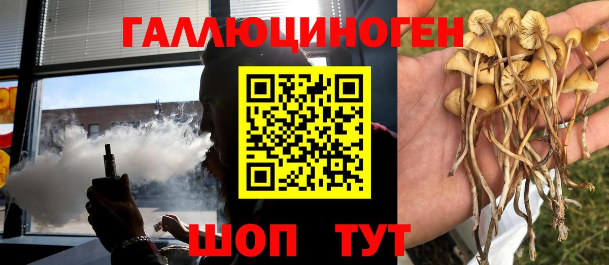 Галлюциногенные грибы MAGIC MUSHROOMS  Вход с VPN  Ликино-Дулёво 